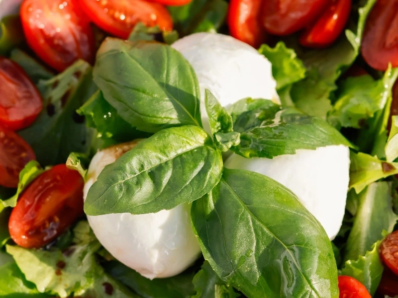 best-sicily-mozzarella